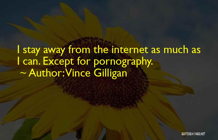 Vince Gilligan Quotes: I Stay Away From The Internet As Much As I Can. Except For Pornography.