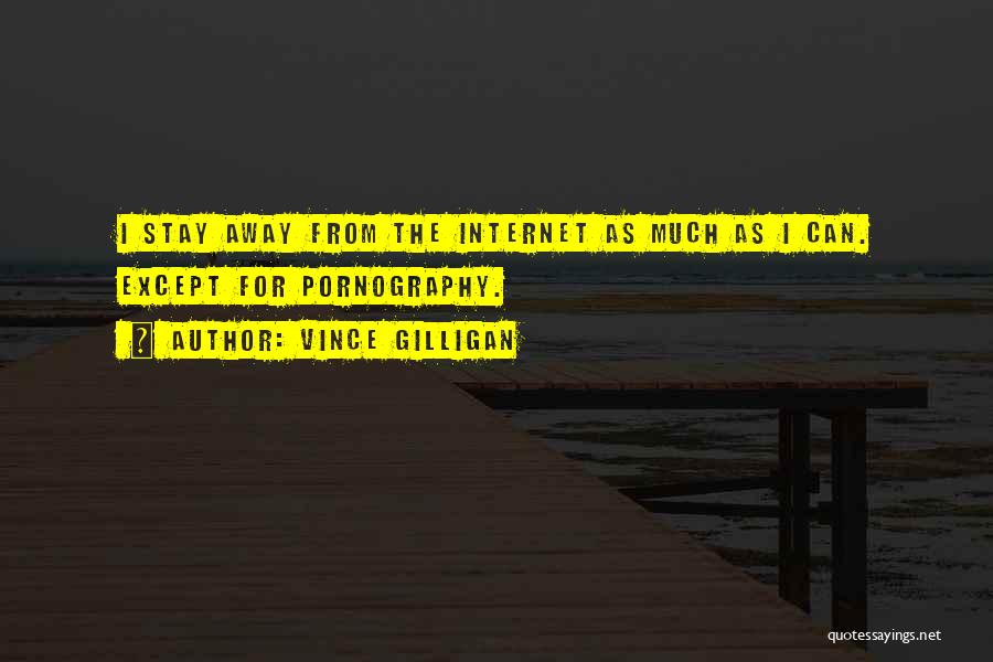 Vince Gilligan Quotes: I Stay Away From The Internet As Much As I Can. Except For Pornography.