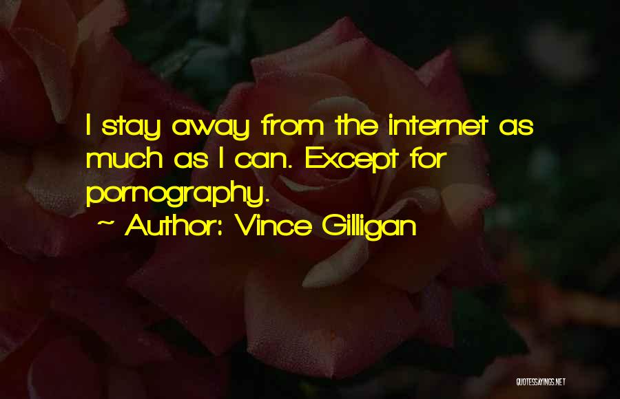 Vince Gilligan Quotes: I Stay Away From The Internet As Much As I Can. Except For Pornography.