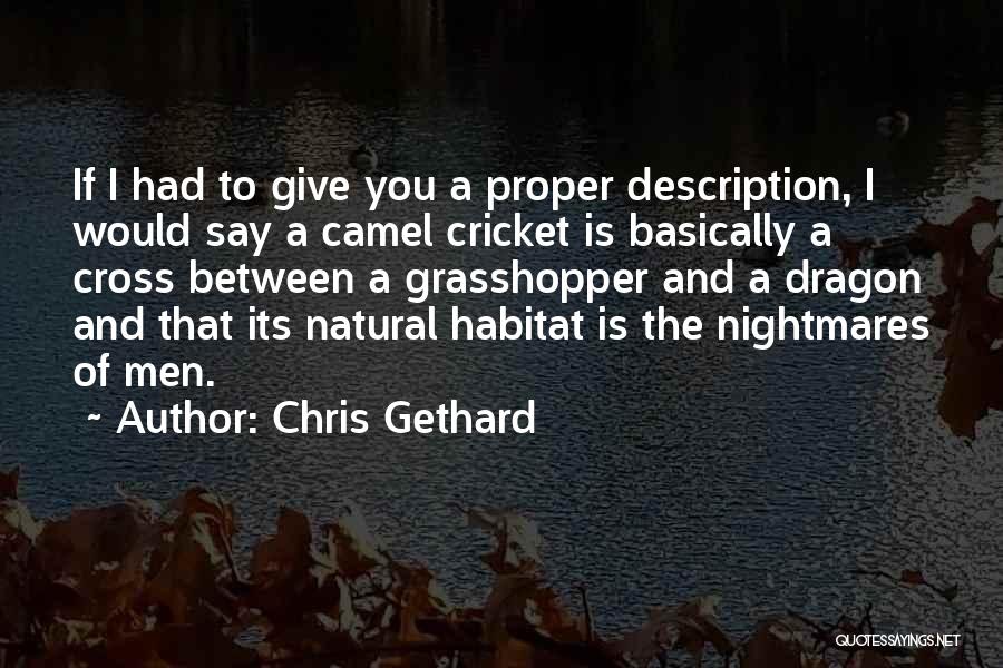 Chris Gethard Quotes: If I Had To Give You A Proper Description, I Would Say A Camel Cricket Is Basically A Cross Between