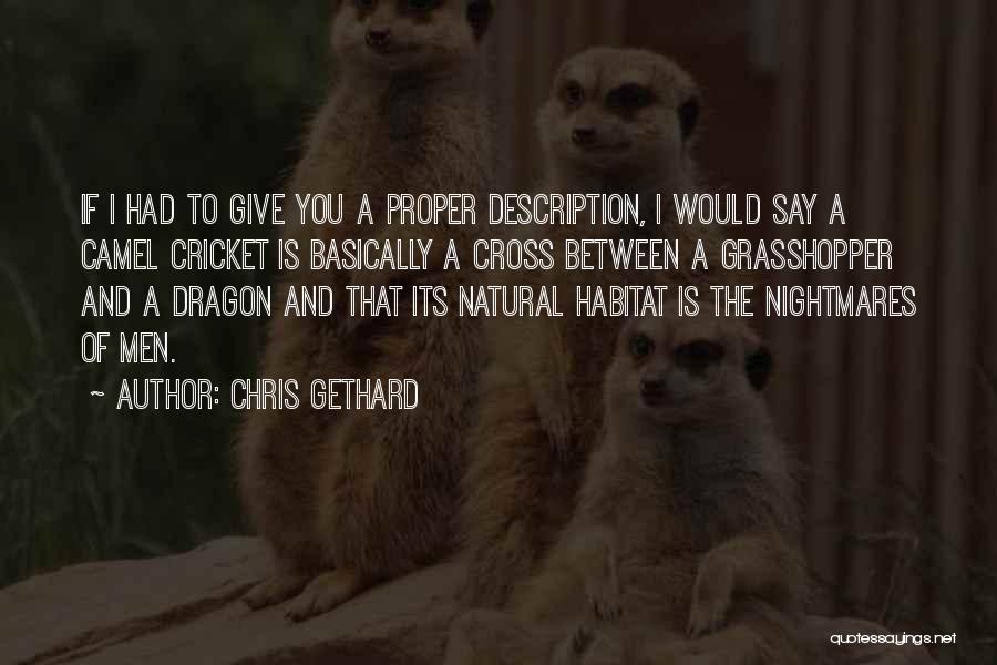 Chris Gethard Quotes: If I Had To Give You A Proper Description, I Would Say A Camel Cricket Is Basically A Cross Between