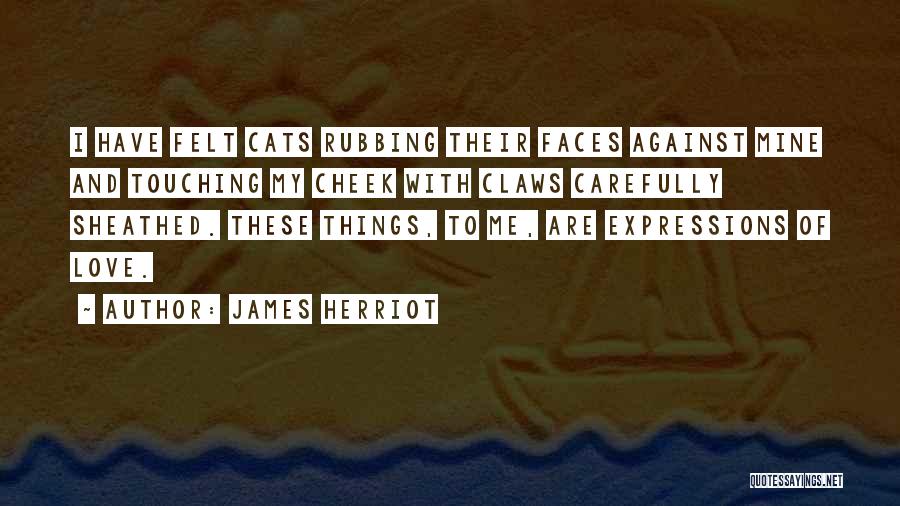 James Herriot Quotes: I Have Felt Cats Rubbing Their Faces Against Mine And Touching My Cheek With Claws Carefully Sheathed. These Things, To