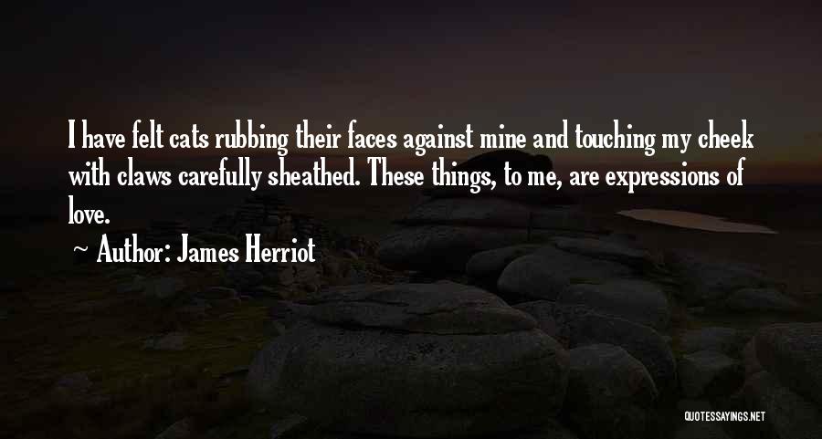 James Herriot Quotes: I Have Felt Cats Rubbing Their Faces Against Mine And Touching My Cheek With Claws Carefully Sheathed. These Things, To