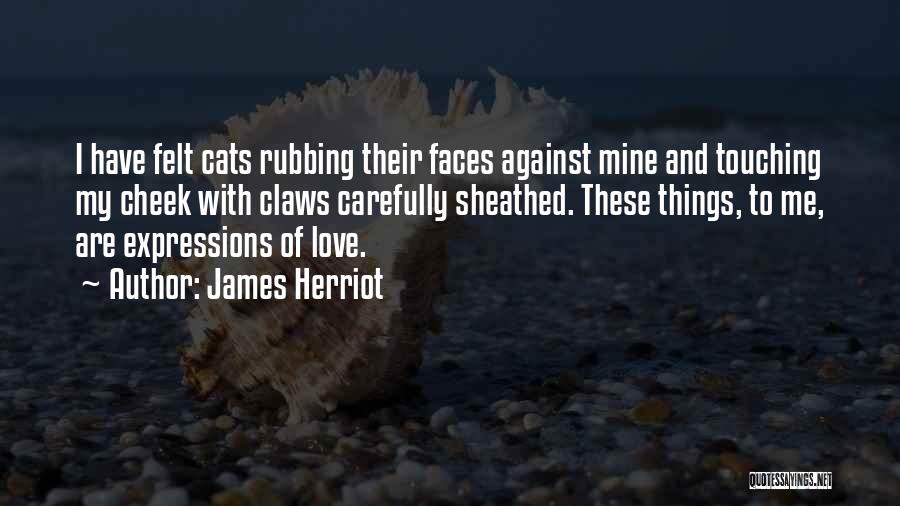 James Herriot Quotes: I Have Felt Cats Rubbing Their Faces Against Mine And Touching My Cheek With Claws Carefully Sheathed. These Things, To