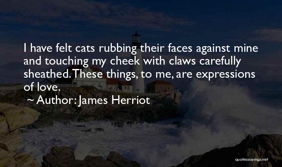 James Herriot Quotes: I Have Felt Cats Rubbing Their Faces Against Mine And Touching My Cheek With Claws Carefully Sheathed. These Things, To