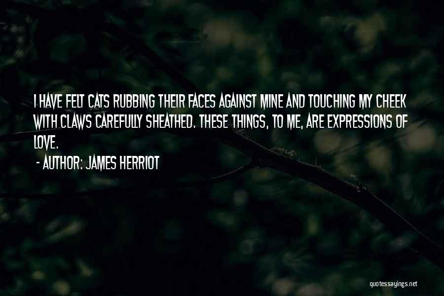 James Herriot Quotes: I Have Felt Cats Rubbing Their Faces Against Mine And Touching My Cheek With Claws Carefully Sheathed. These Things, To