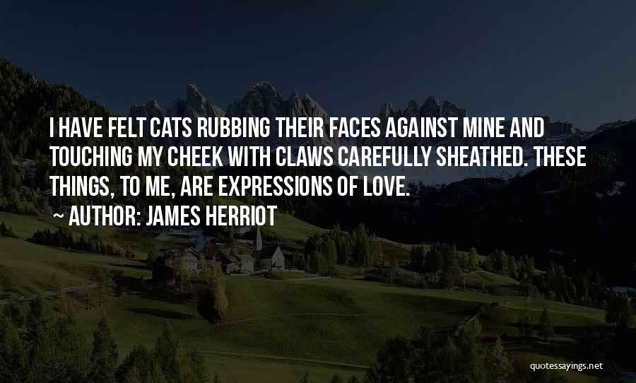 James Herriot Quotes: I Have Felt Cats Rubbing Their Faces Against Mine And Touching My Cheek With Claws Carefully Sheathed. These Things, To