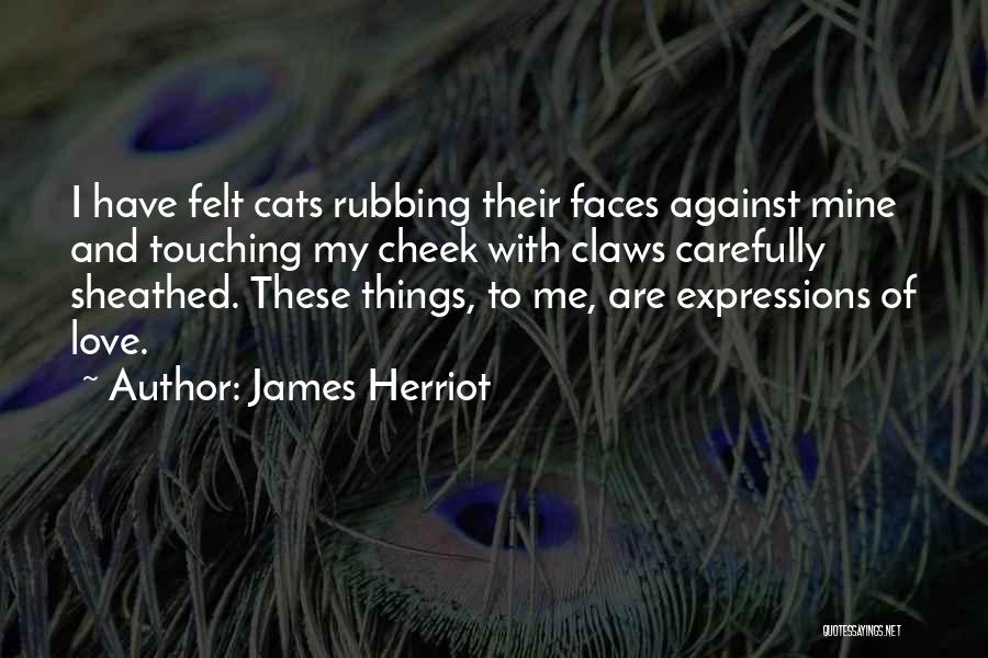 James Herriot Quotes: I Have Felt Cats Rubbing Their Faces Against Mine And Touching My Cheek With Claws Carefully Sheathed. These Things, To