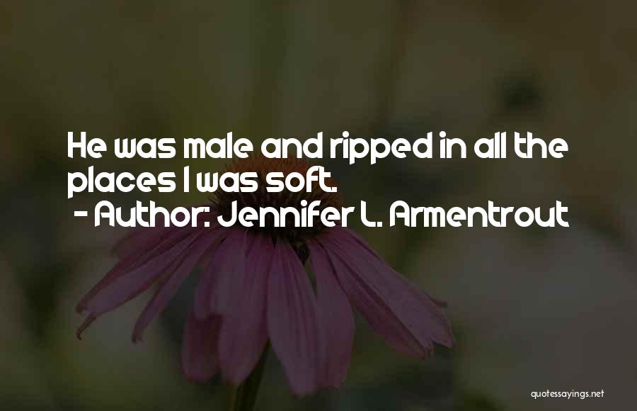 Jennifer L. Armentrout Quotes: He Was Male And Ripped In All The Places I Was Soft.