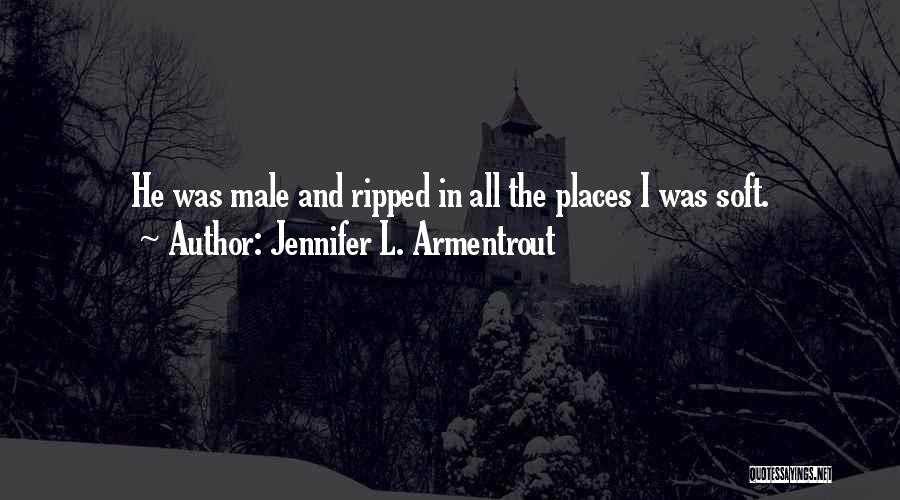 Jennifer L. Armentrout Quotes: He Was Male And Ripped In All The Places I Was Soft.