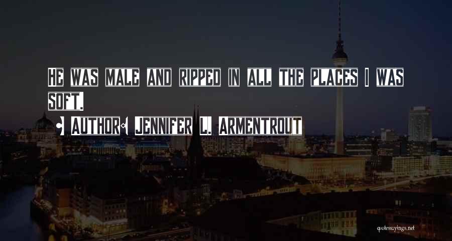 Jennifer L. Armentrout Quotes: He Was Male And Ripped In All The Places I Was Soft.