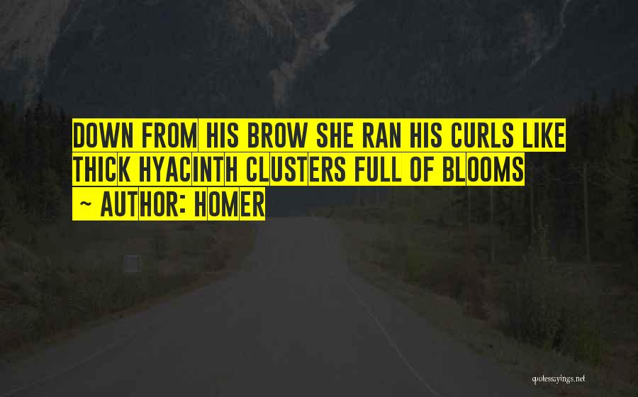 Homer Quotes: Down From His Brow She Ran His Curls Like Thick Hyacinth Clusters Full Of Blooms