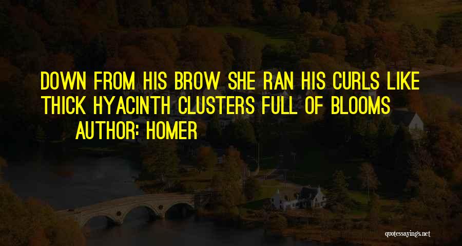 Homer Quotes: Down From His Brow She Ran His Curls Like Thick Hyacinth Clusters Full Of Blooms