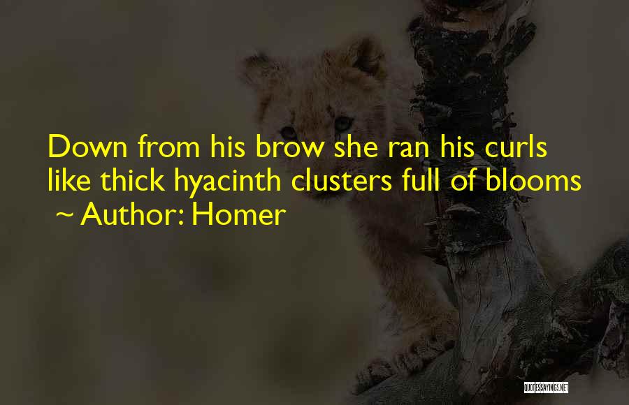Homer Quotes: Down From His Brow She Ran His Curls Like Thick Hyacinth Clusters Full Of Blooms