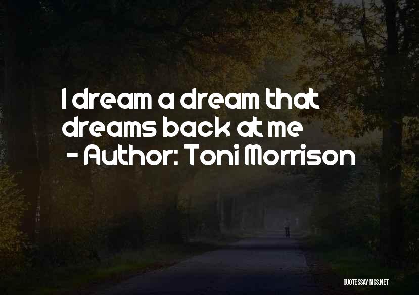 Toni Morrison Quotes: I Dream A Dream That Dreams Back At Me