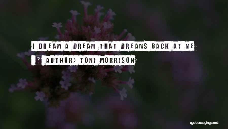 Toni Morrison Quotes: I Dream A Dream That Dreams Back At Me