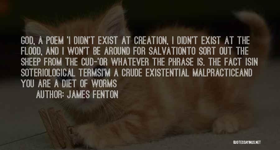 James Fenton Quotes: God, A Poem 'i Didn't Exist At Creation, I Didn't Exist At The Flood, And I Won't Be Around For