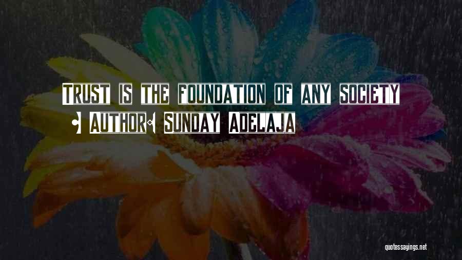 Sunday Adelaja Quotes: Trust Is The Foundation Of Any Society