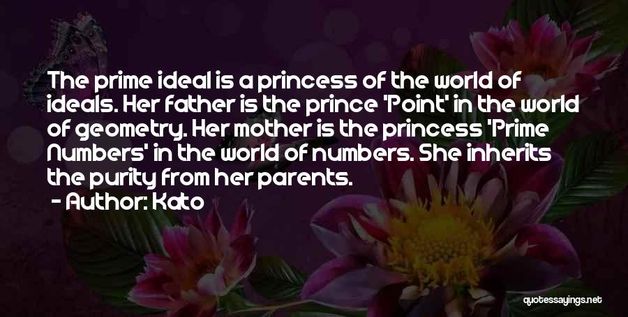 Kato Quotes: The Prime Ideal Is A Princess Of The World Of Ideals. Her Father Is The Prince 'point' In The World
