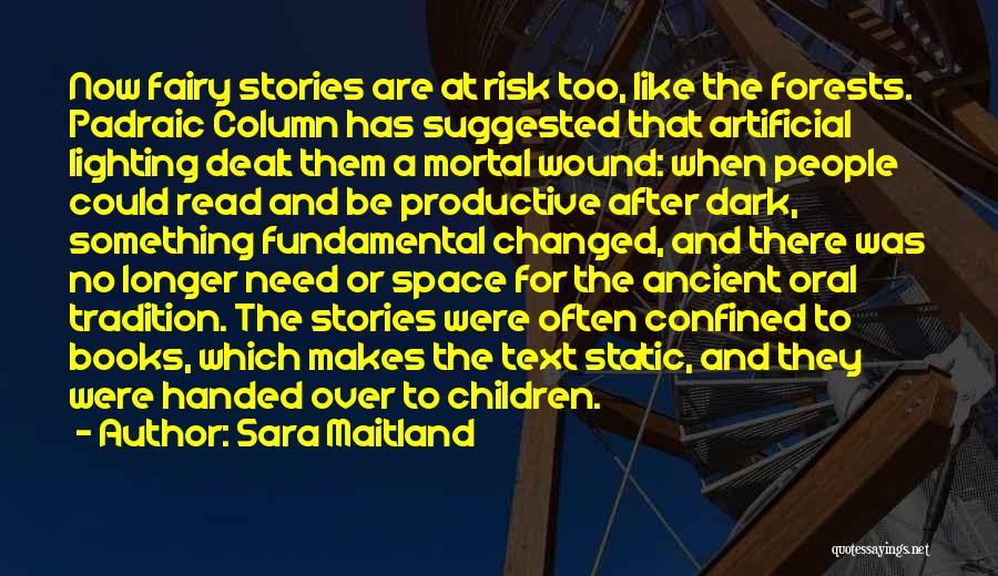 Sara Maitland Quotes: Now Fairy Stories Are At Risk Too, Like The Forests. Padraic Column Has Suggested That Artificial Lighting Dealt Them A