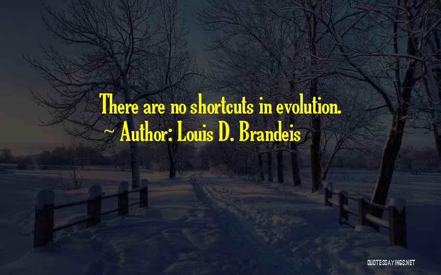 Louis D. Brandeis Quotes: There Are No Shortcuts In Evolution.