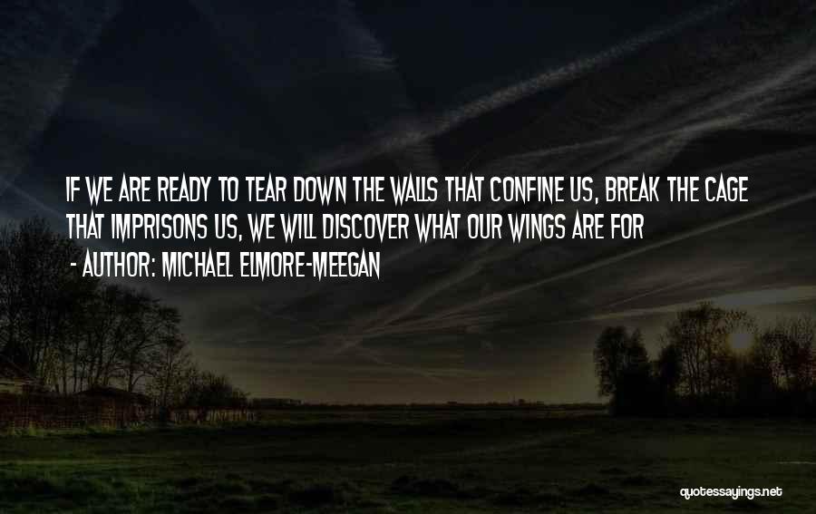 Michael Elmore-Meegan Quotes: If We Are Ready To Tear Down The Walls That Confine Us, Break The Cage That Imprisons Us, We Will
