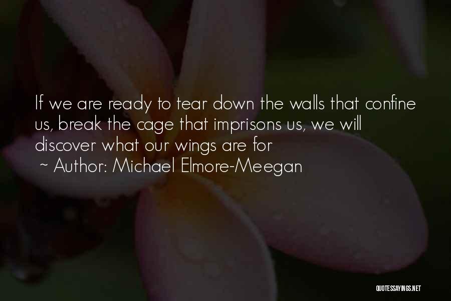 Michael Elmore-Meegan Quotes: If We Are Ready To Tear Down The Walls That Confine Us, Break The Cage That Imprisons Us, We Will