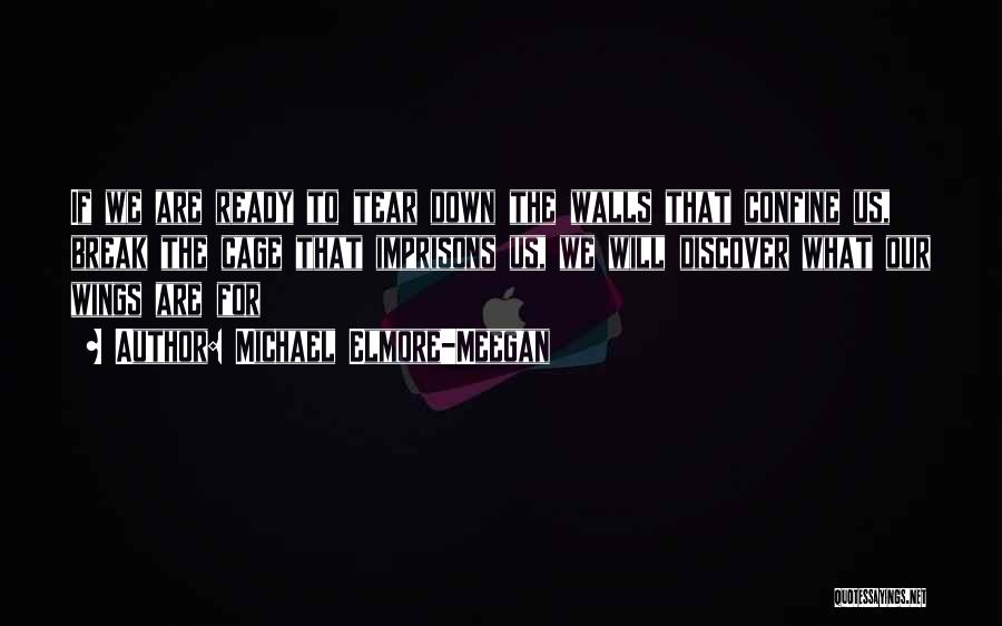 Michael Elmore-Meegan Quotes: If We Are Ready To Tear Down The Walls That Confine Us, Break The Cage That Imprisons Us, We Will
