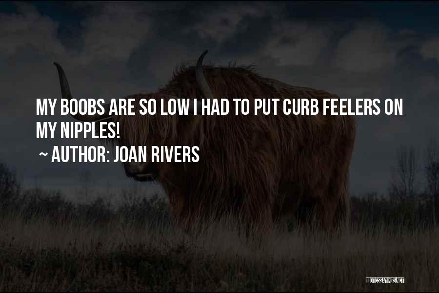 Joan Rivers Quotes: My Boobs Are So Low I Had To Put Curb Feelers On My Nipples!