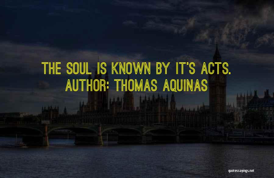 Thomas Aquinas Quotes: The Soul Is Known By It's Acts.