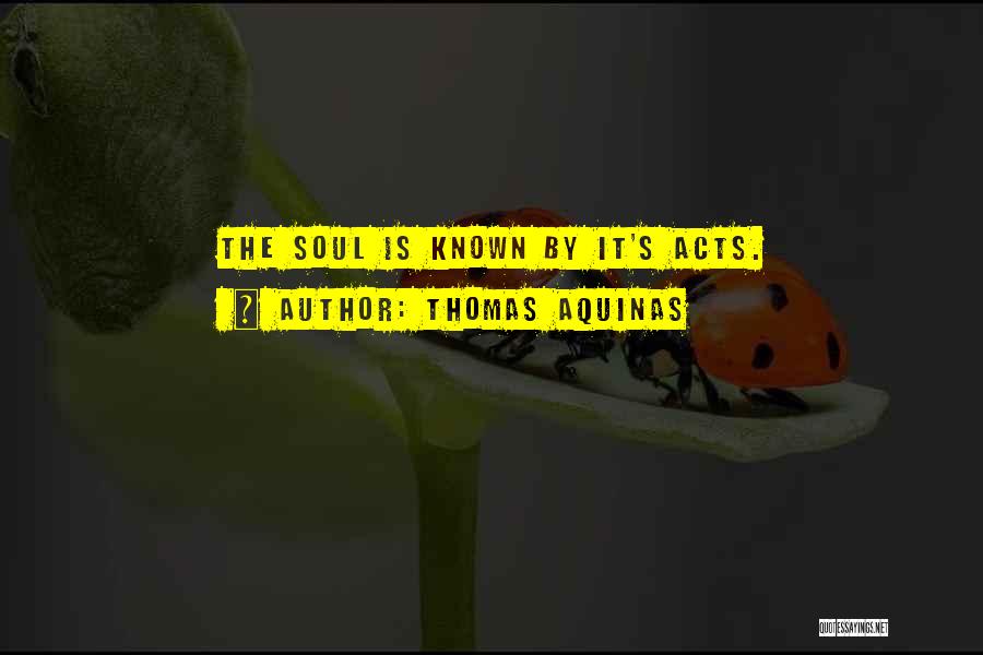 Thomas Aquinas Quotes: The Soul Is Known By It's Acts.