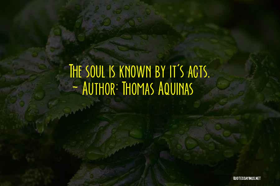 Thomas Aquinas Quotes: The Soul Is Known By It's Acts.