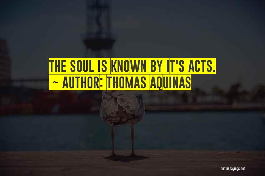 Thomas Aquinas Quotes: The Soul Is Known By It's Acts.