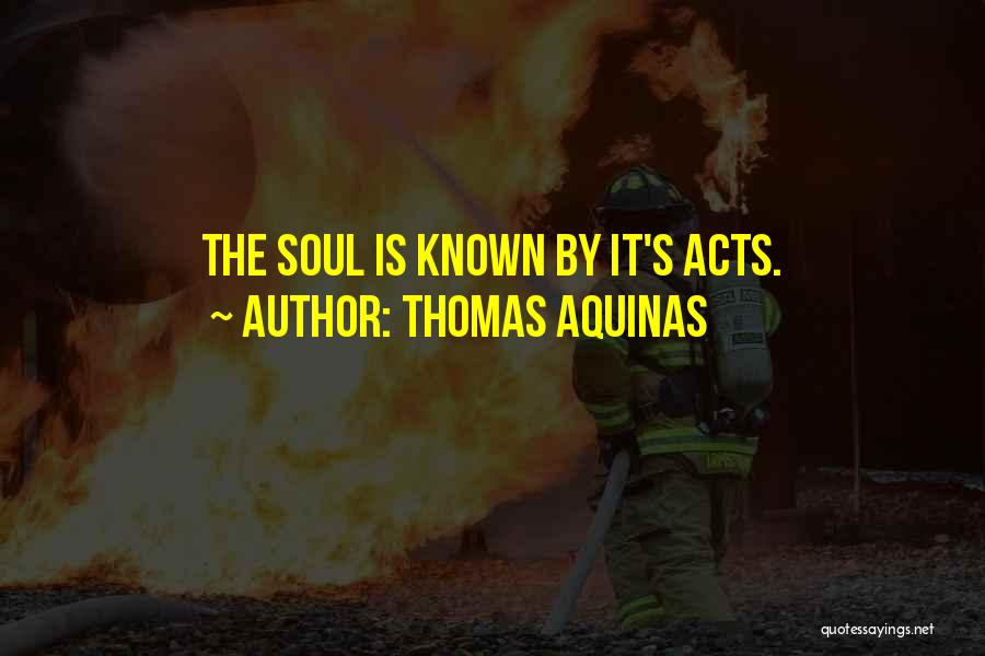 Thomas Aquinas Quotes: The Soul Is Known By It's Acts.