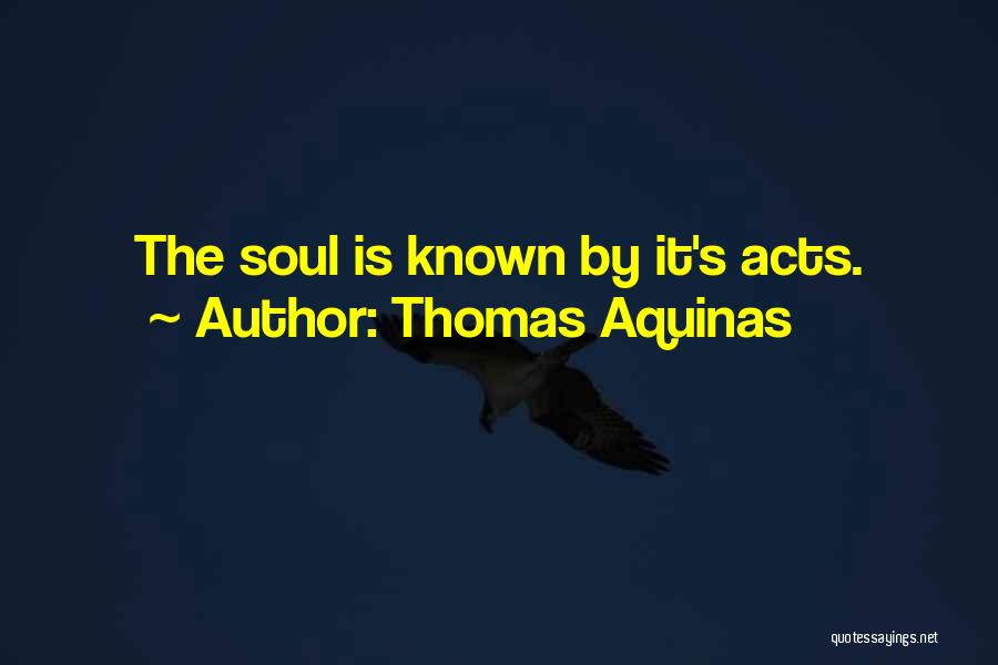 Thomas Aquinas Quotes: The Soul Is Known By It's Acts.