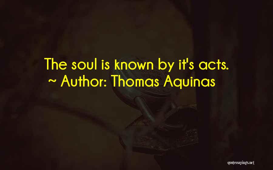 Thomas Aquinas Quotes: The Soul Is Known By It's Acts.