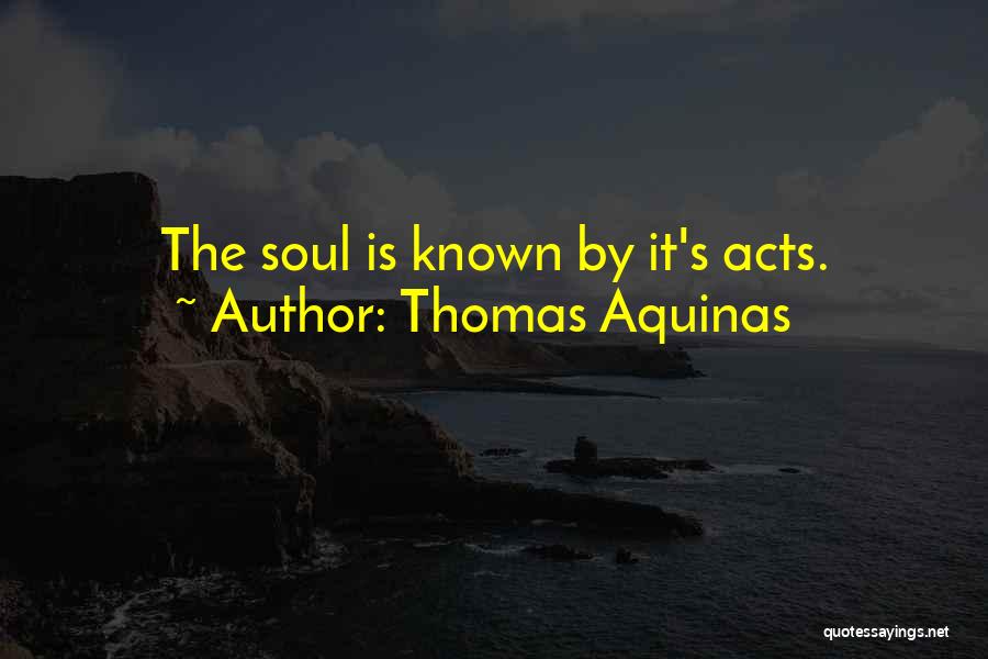 Thomas Aquinas Quotes: The Soul Is Known By It's Acts.