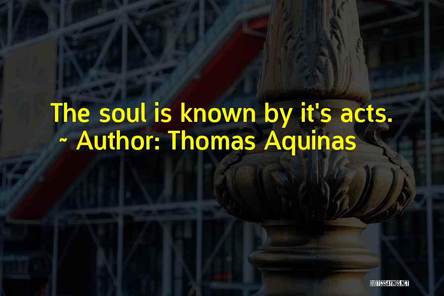 Thomas Aquinas Quotes: The Soul Is Known By It's Acts.