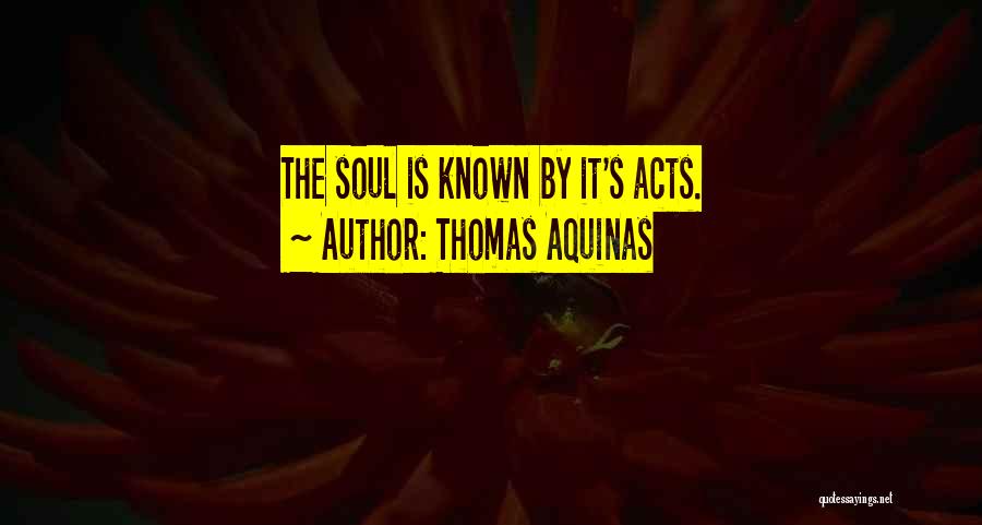 Thomas Aquinas Quotes: The Soul Is Known By It's Acts.