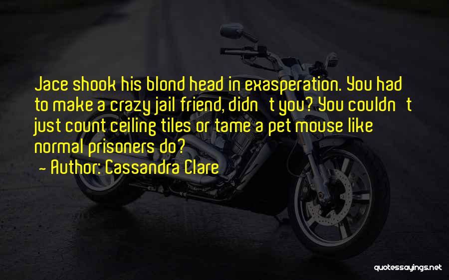 Cassandra Clare Quotes: Jace Shook His Blond Head In Exasperation. You Had To Make A Crazy Jail Friend, Didn't You? You Couldn't Just