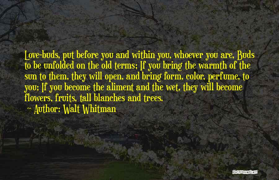 Walt Whitman Quotes: Love-buds, Put Before You And Within You, Whoever You Are, Buds To Be Unfolded On The Old Terms; If You