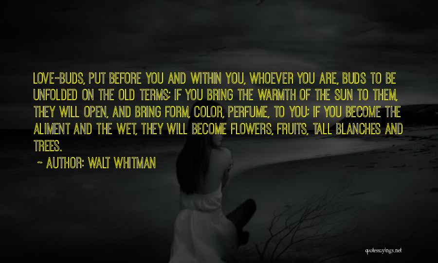 Walt Whitman Quotes: Love-buds, Put Before You And Within You, Whoever You Are, Buds To Be Unfolded On The Old Terms; If You