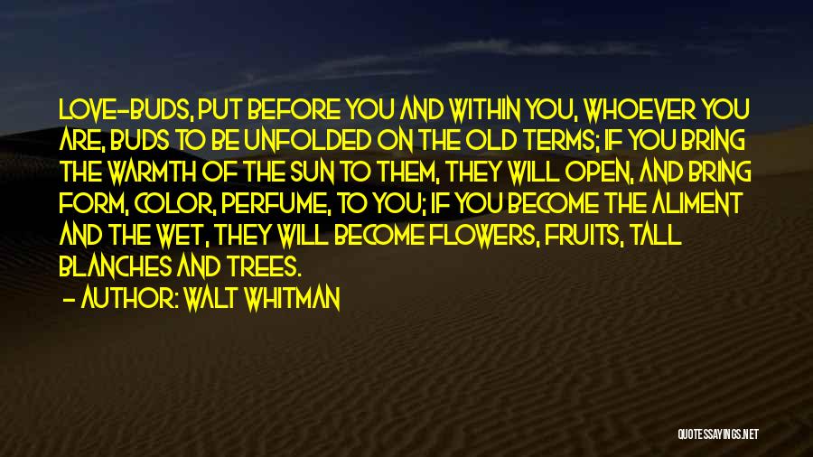 Walt Whitman Quotes: Love-buds, Put Before You And Within You, Whoever You Are, Buds To Be Unfolded On The Old Terms; If You