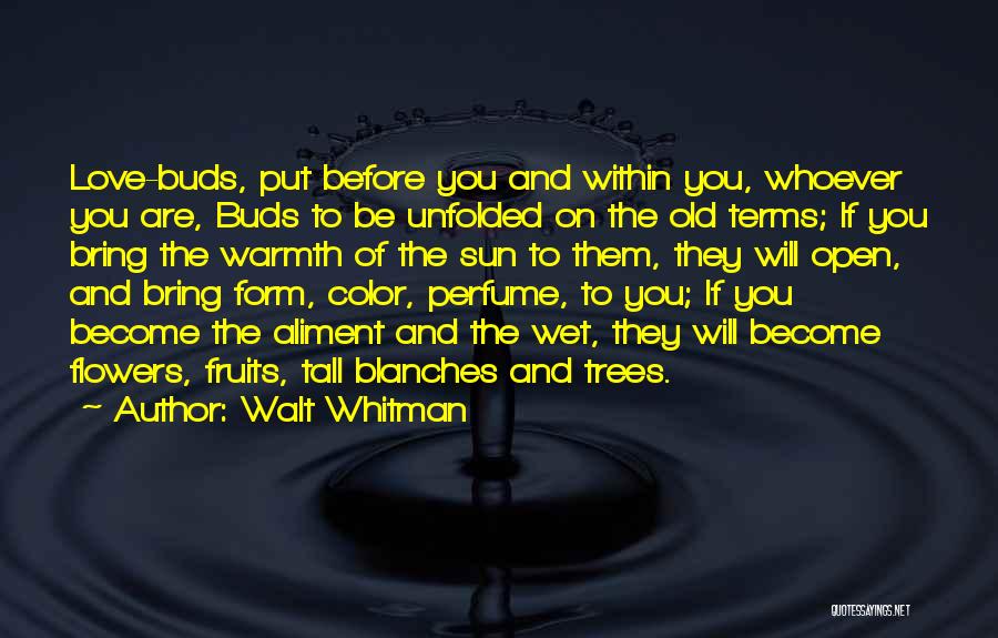 Walt Whitman Quotes: Love-buds, Put Before You And Within You, Whoever You Are, Buds To Be Unfolded On The Old Terms; If You
