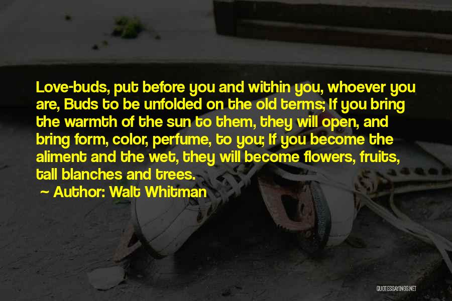 Walt Whitman Quotes: Love-buds, Put Before You And Within You, Whoever You Are, Buds To Be Unfolded On The Old Terms; If You