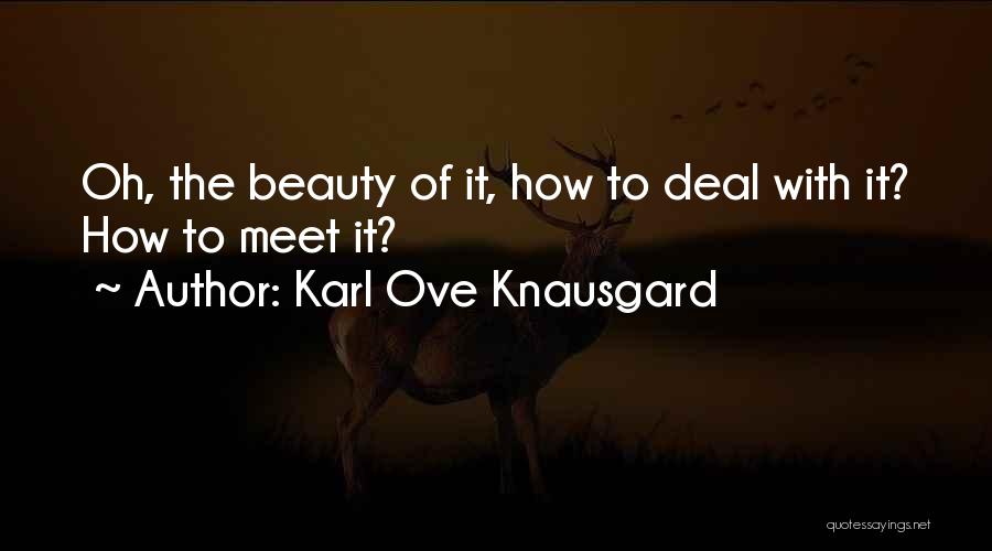 Karl Ove Knausgard Quotes: Oh, The Beauty Of It, How To Deal With It? How To Meet It?