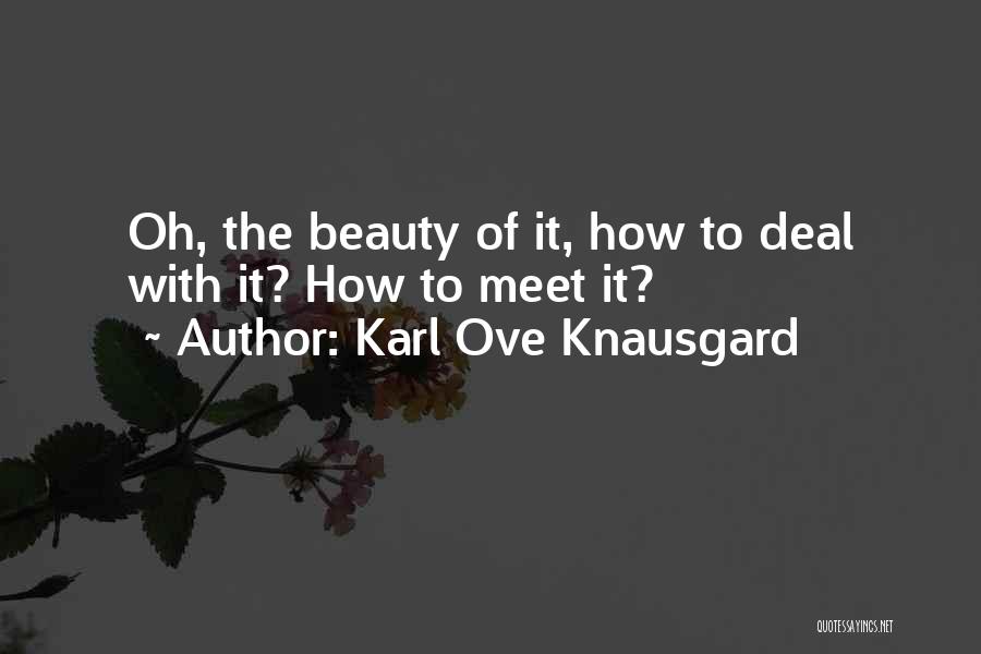 Karl Ove Knausgard Quotes: Oh, The Beauty Of It, How To Deal With It? How To Meet It?
