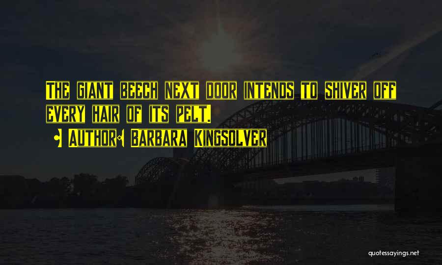 Barbara Kingsolver Quotes: The Giant Beech Next Door Intends To Shiver Off Every Hair Of Its Pelt.