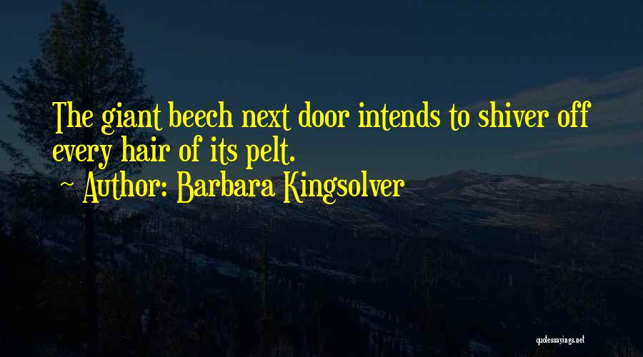 Barbara Kingsolver Quotes: The Giant Beech Next Door Intends To Shiver Off Every Hair Of Its Pelt.