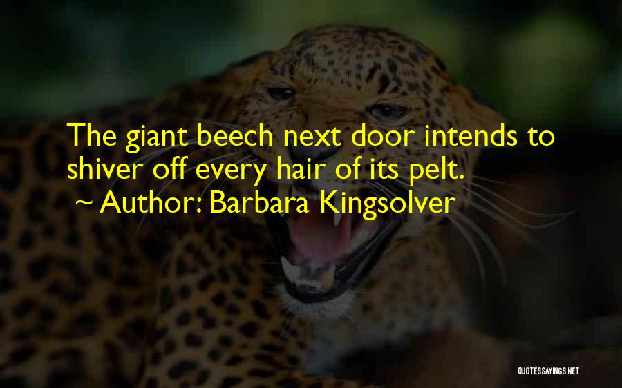 Barbara Kingsolver Quotes: The Giant Beech Next Door Intends To Shiver Off Every Hair Of Its Pelt.